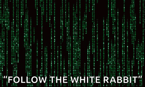 a matrix background with the words " follow the white rabbit " on it