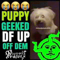 a poster that says puppy geeked df up off dem with a picture of a dog and shrek
