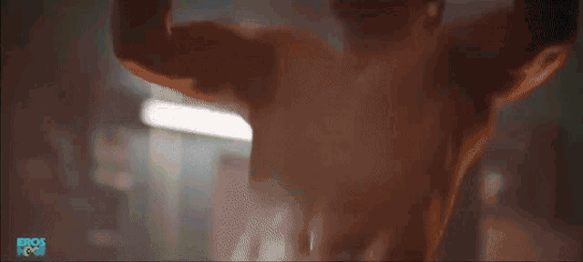 a shirtless boxer is practicing with a punching bag in a gym ..
