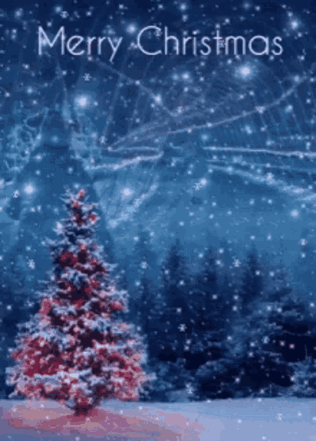 a merry christmas card with a christmas tree in the snow .