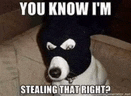 a black and white dog wearing a mask is sitting on the floor .