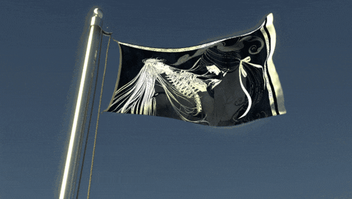 a black and white flag with a picture of a skeleton on it