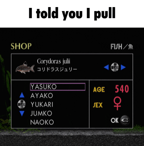 a black screen with the words i told you i pull