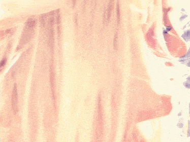 a close up of a woman 's face with a slight smile on her face