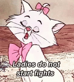 Cat Fight GIF - Cat Fight Ladies Do Not Start Fights GIFs