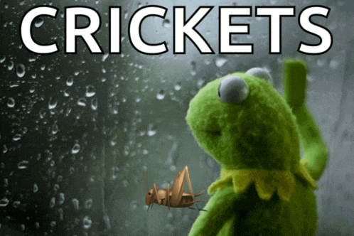 kermit the frog looking out a window with the word crickets written above him