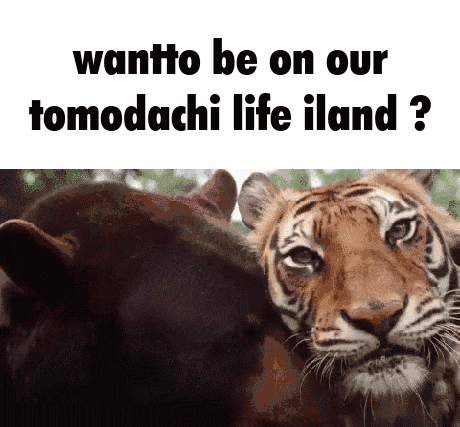 a tiger and a bear are standing next to each other with the words want to be on our tomodachi life island ?