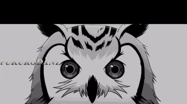 a black and white drawing of an owl with fukurodani written in yellow