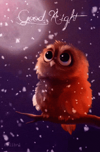 Owl Night GIF - Owl Night Good GIFs