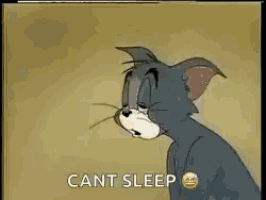 a cartoon cat is sitting on a bed and saying `` cant sleep '' .