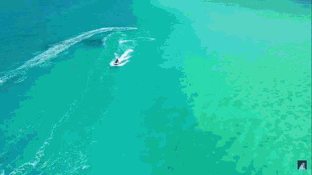 an aerial view of a person on a jet ski in the ocean .