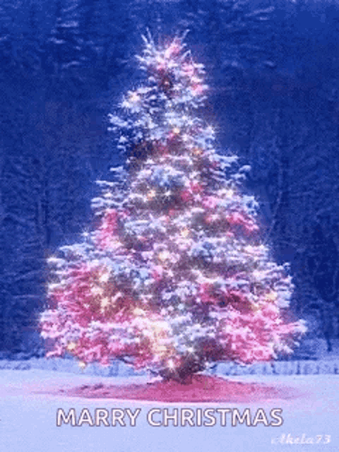 a picture of a christmas tree with the words marry christmas below it