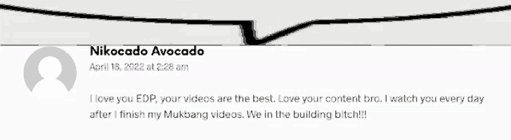 a screenshot of a message from nikocado avocado on april 18 2022