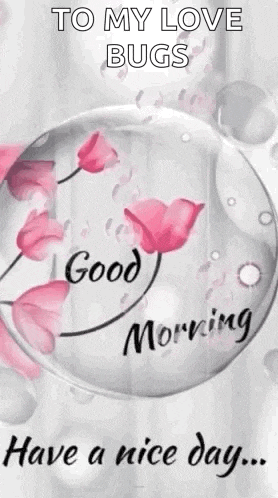 a good morning message with pink flowers in a glass bubble .