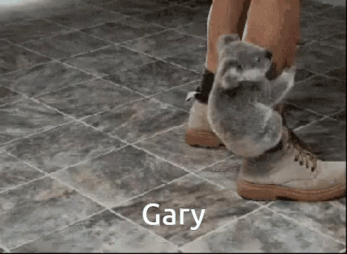 Gary GIF - Gary GIFs