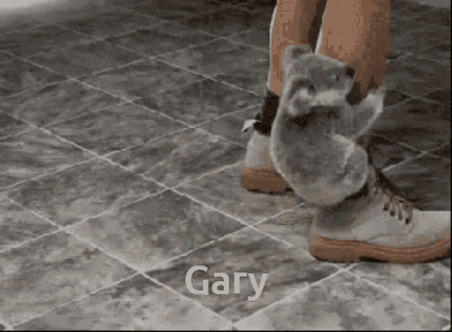 a koala bear standing on a person 's foot with the name gary written on the floor
