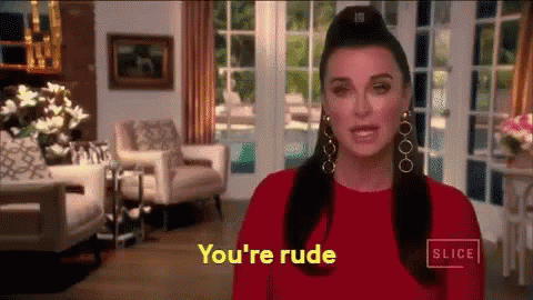 Rude GIF - Youre Rude Rude Called Out GIFs