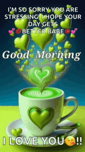 i 'm so sorry you are stressing ! i hope your day gets better babe good morning i love you !!