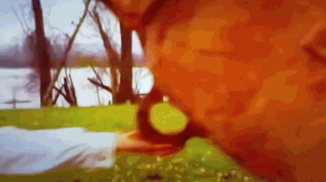 a blurry picture of a person sitting on a blanket in the grass