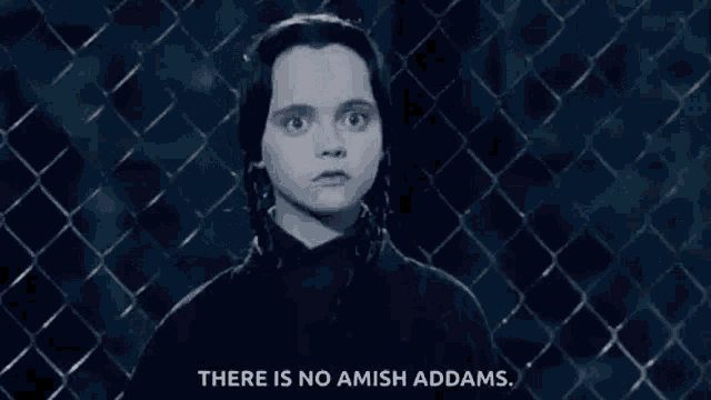 There Is No Amish Addams The Addams Family GIF - There Is No Amish Addams The Addams Family Wednesday Addams GIFs