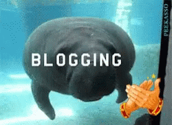 Blogging Bump GIF - Blogging Bump Ouch GIFs