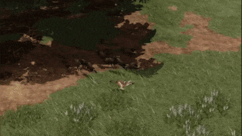 a computer generated image of a grassy field