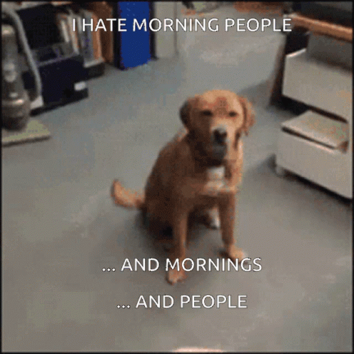 I Hate Morning People Dog GIF - I Hate Morning People Dog Hate GIFs