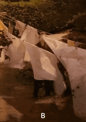 a bunch of clothes are hanging on a clothes line and the letter b is above them