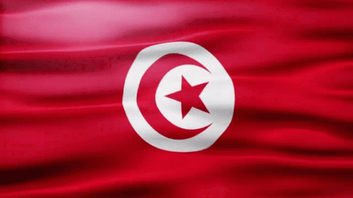 Tunisia Flag Gif GIF - Tunisia Flag Gif Africa GIFs
