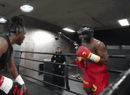 Ishowspeed Boxing GIF - Ishowspeed Boxing Knockout GIFs