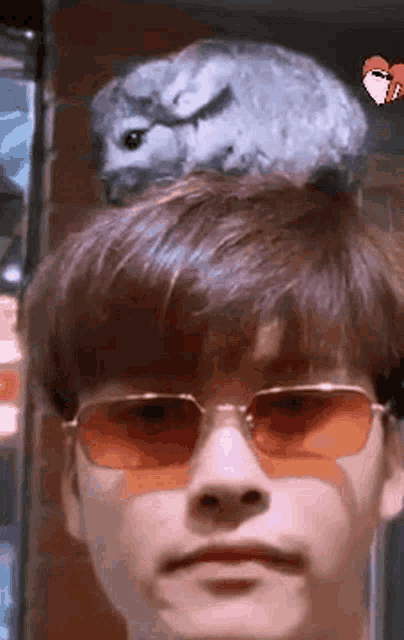 a young man wearing sunglasses has a chinchilla on his head .