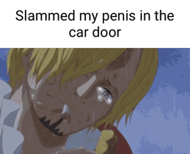 a cartoon of a man crying with the words slammed my penis in the car door below him