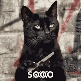 a black cat holding a pair of scissors in its paws .