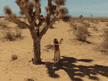 a woman in a red dress is standing in the desert near a tree