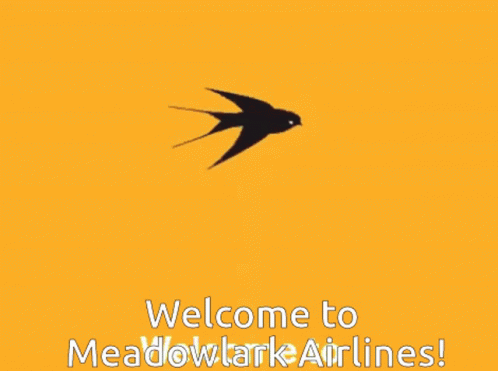 Meadowlark Welcome To Meadowlark Airlines GIF - Meadowlark Welcome To Meadowlark Airlines Flying GIFs