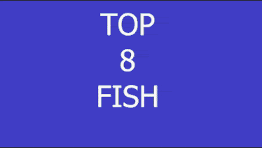 a person is holding a small fish in their hand with the number 8 visible in the corner