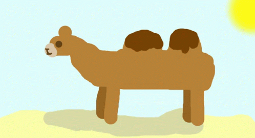 Camel GIF - Camel GIFs