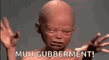a baby is crying with the words `` muh gubberment '' written on the bottom .