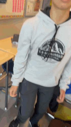 a boy wearing a grey hoodie with a mountain on it is standing in a classroom