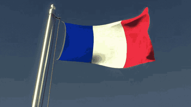 a french flag is waving in the wind