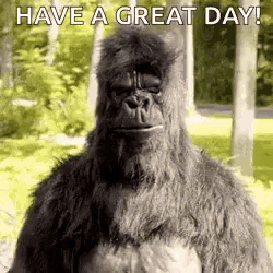 a gorilla in a costume is standing in the grass and says `` have a great day '' .