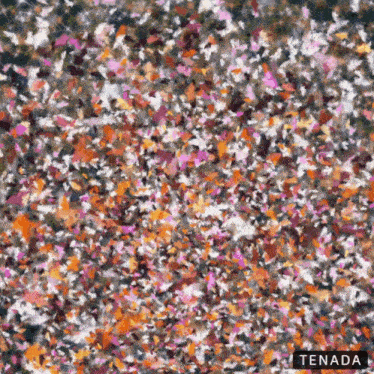 a colorful painting with the name tenada on it