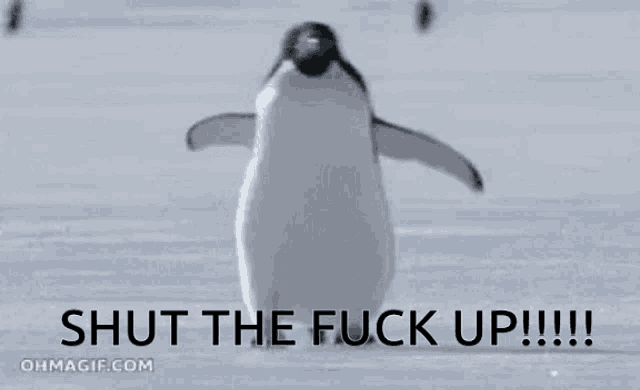 a penguin is standing in the snow with the words shut the fuck up !!!