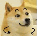 Doge Wink GIF - Doge Wink Dog GIFs