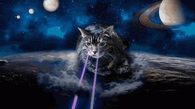 a cat is laying on the ground with purple lasers coming out of its eyes