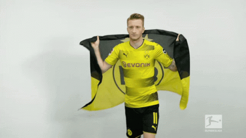 Borussia Dortmund Marco Reus GIF - Borussia Dortmund Marco Reus GIFs