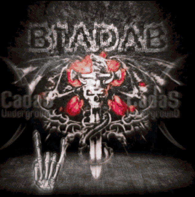a poster with a skeleton giving the middle finger and the word biadab on it