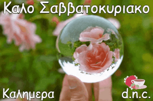 a person is holding a glass ball with pink roses inside of it