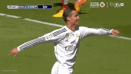 a soccer player is celebrating a goal on the field .