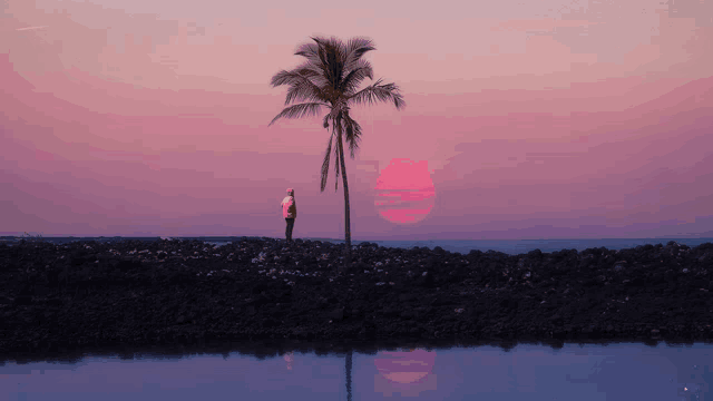 a man stands in front of a palm tree with a pink sunset in the background